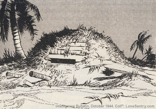 [Figure 10. Typical Japanese Bunker on Cape Torokina.]